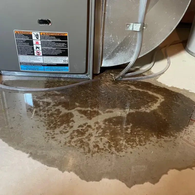 Appliance Leak Cleanup in DeKalb, IL